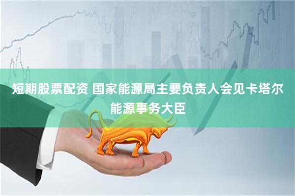 短期股票配资 国家能源局主要负责人会见卡塔尔能源事务大臣